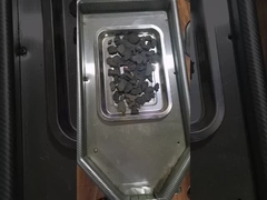 Polygonum multiflorum powder